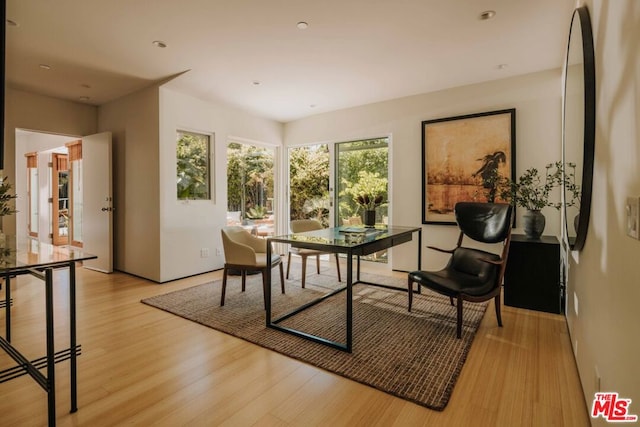 dining space featuring light hardwood / wood-style floors