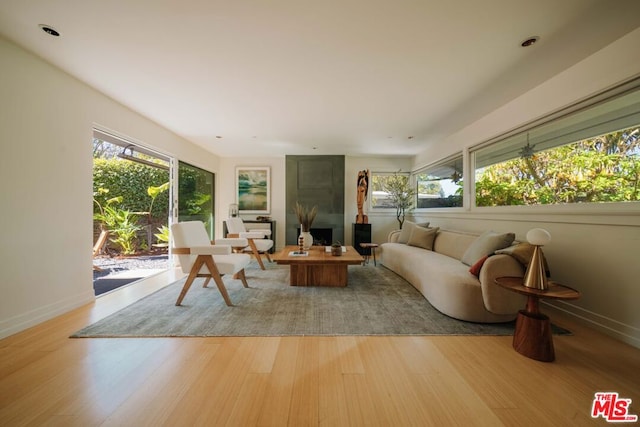 living room featuring light hardwood / wood-style flooring