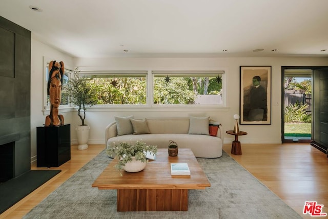 living room with a fireplace, light hardwood / wood-style flooring, and a wealth of natural light