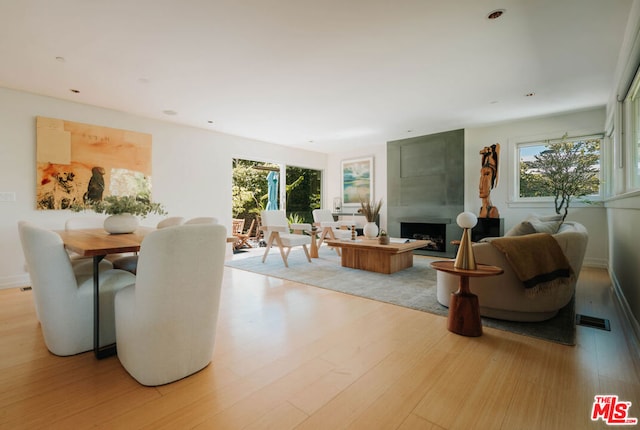 living room featuring light wood-type flooring, a healthy amount of sunlight, and a large fireplace