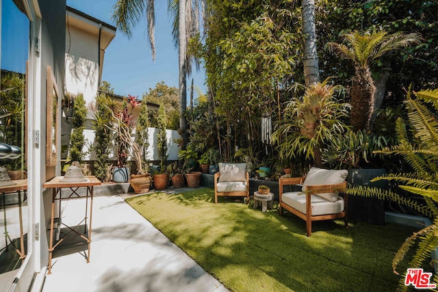 view of yard featuring a patio area