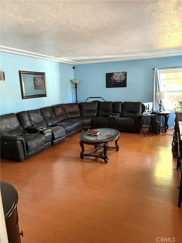 living room featuring a textured ceiling and light wood-type flooring