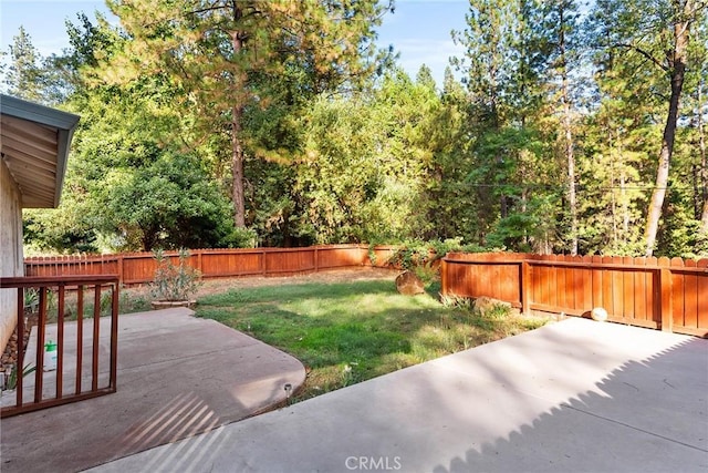 view of yard with a patio