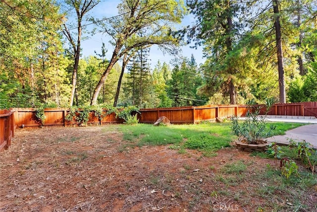 view of yard featuring a patio