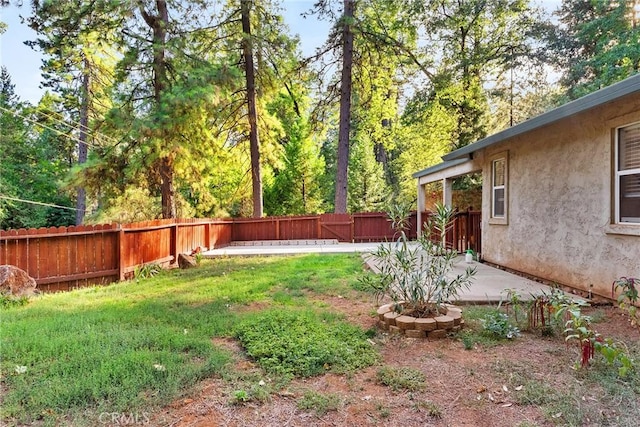 view of yard featuring a patio