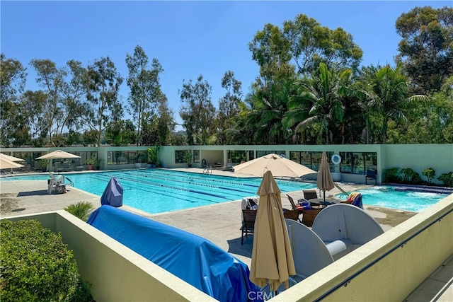 view of swimming pool featuring a patio area