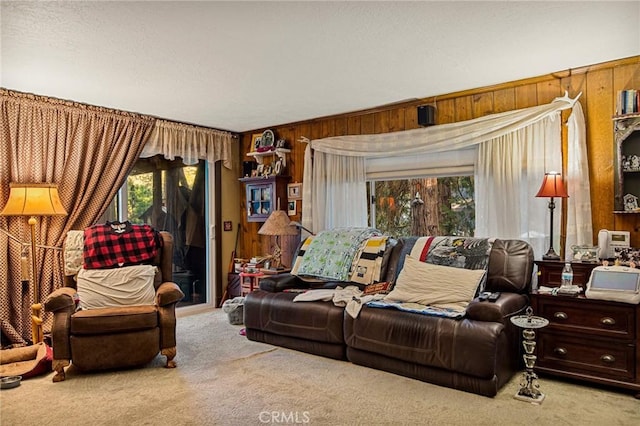 carpeted living room featuring a healthy amount of sunlight and wood walls