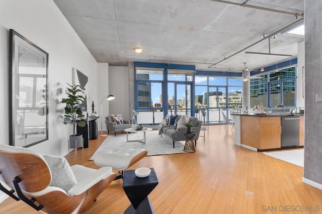 living room featuring expansive windows and light hardwood / wood-style flooring