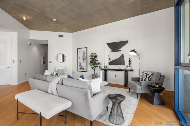 living room featuring wood-type flooring