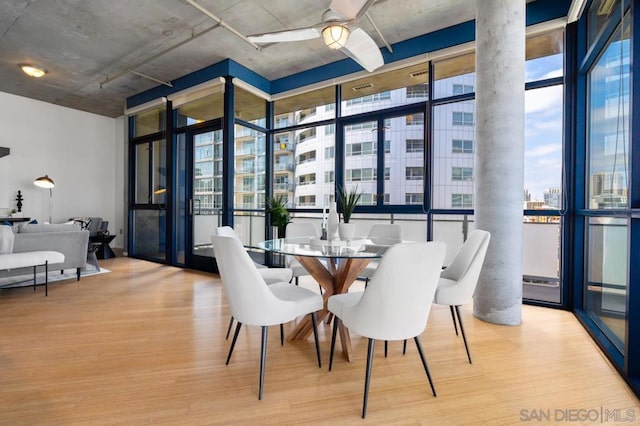 dining room with ceiling fan, a wall of windows, and light hardwood / wood-style flooring