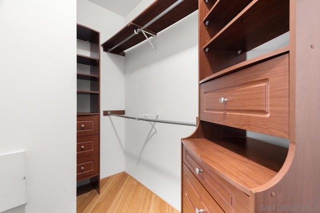 spacious closet featuring light hardwood / wood-style flooring