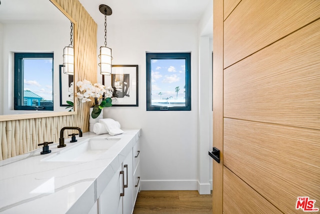 bathroom with wood-type flooring and vanity