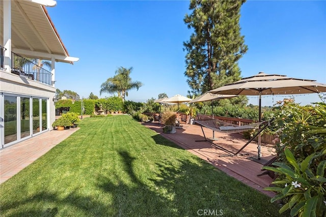 view of yard featuring a patio and a balcony