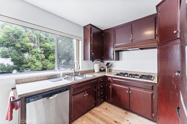 kitchen with sink, light hardwood / wood-style flooring, and appliances with stainless steel finishes