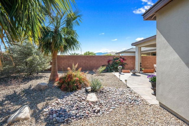 view of yard featuring a patio