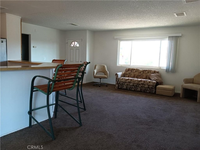 carpeted living room with a textured ceiling