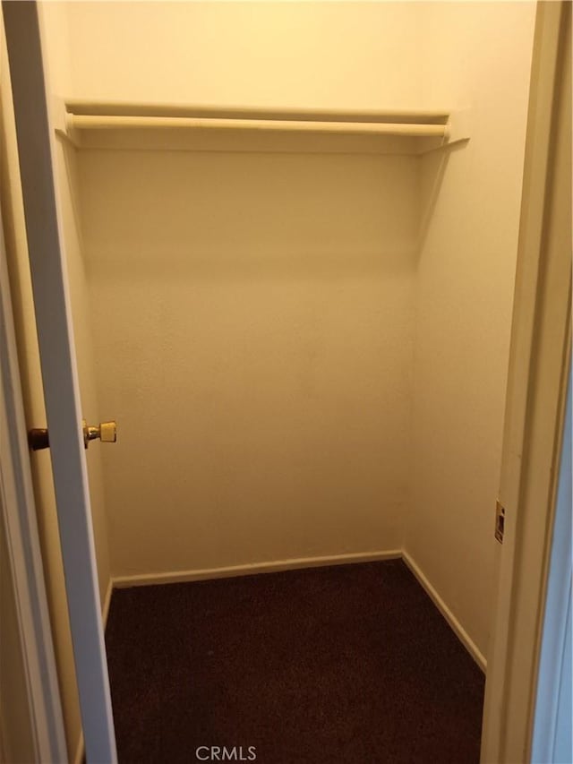 spacious closet featuring carpet