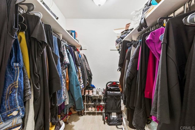 walk in closet with hardwood / wood-style flooring