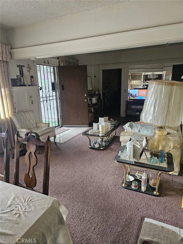 living room with a textured ceiling and carpet