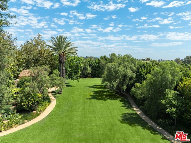 view of community featuring a lawn