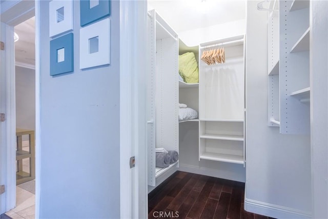 walk in closet with dark hardwood / wood-style floors