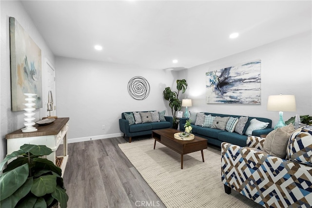 living room featuring hardwood / wood-style flooring