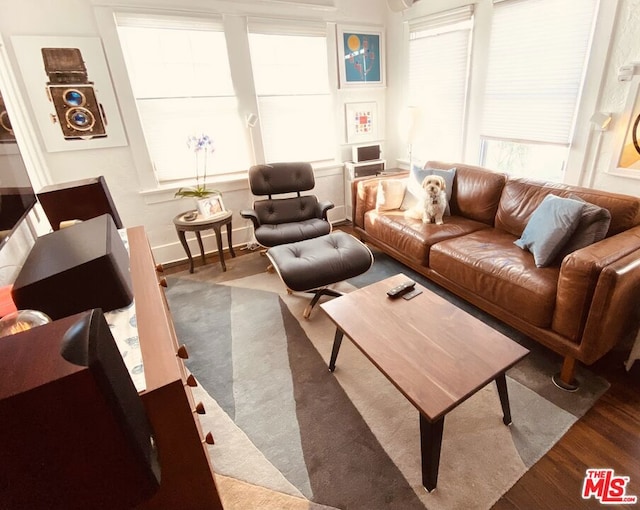 living room with hardwood / wood-style flooring