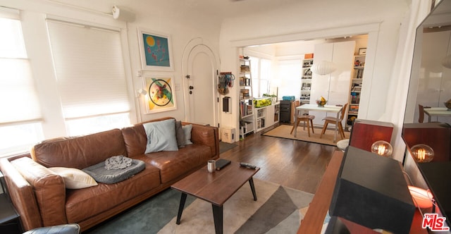 living room with dark hardwood / wood-style floors and a healthy amount of sunlight