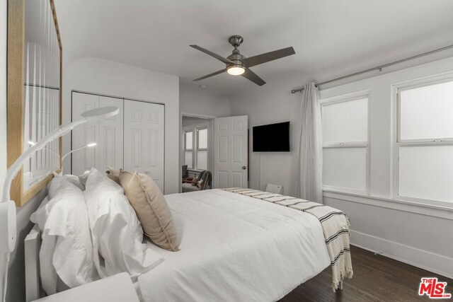 bedroom with dark wood-type flooring, ceiling fan, and a closet