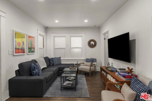 living room featuring dark wood-type flooring