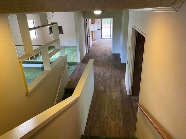 corridor with dark wood-type flooring