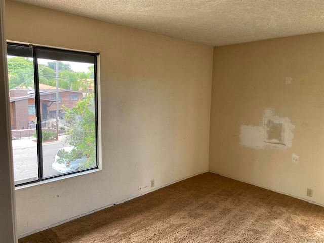 unfurnished room with carpet floors and a textured ceiling