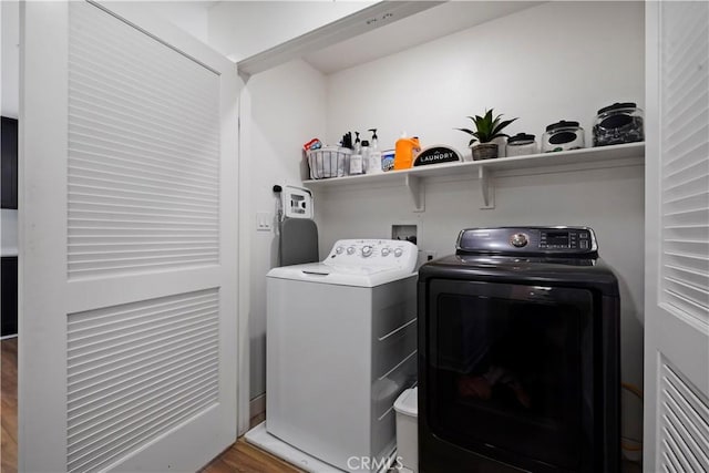 washroom featuring wood-type flooring and washing machine and dryer