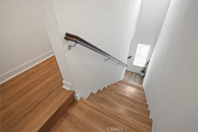 stairway with wood-type flooring