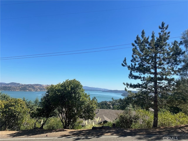 Listing photo 2 for 3329 Pine Terrace Dr, Kelseyville CA 95451