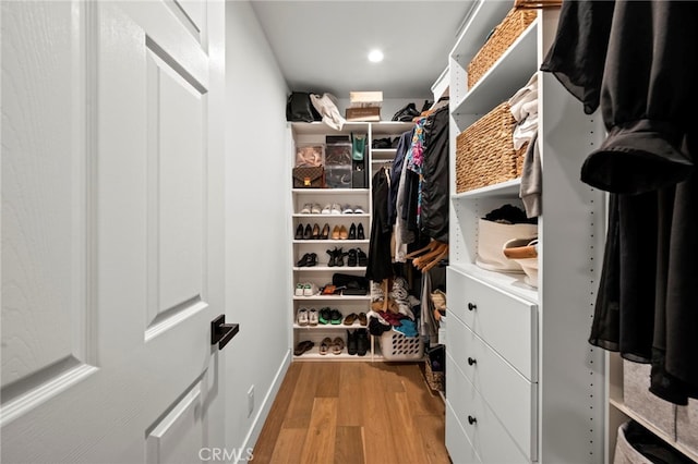 spacious closet with light wood-type flooring