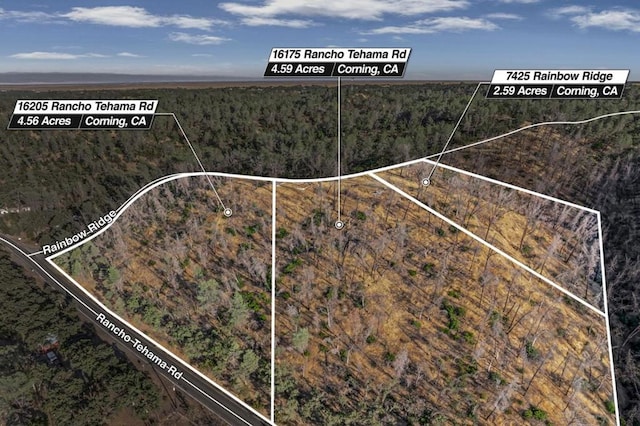 16175 Rancho Tehama Rd, Corning CA, 96021 land for sale