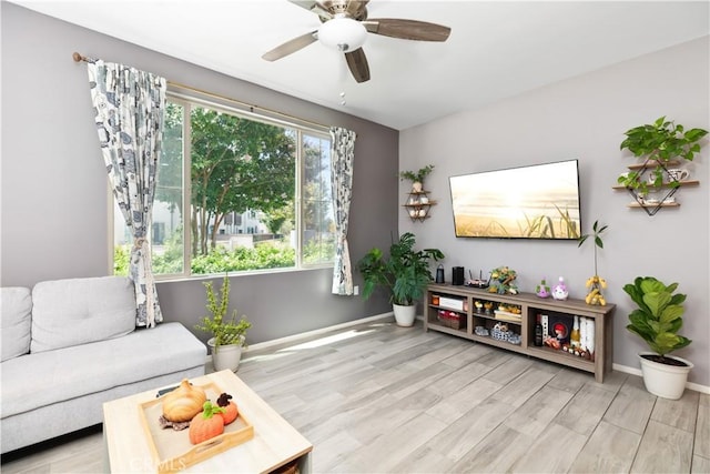 living room featuring ceiling fan and light hardwood / wood-style flooring