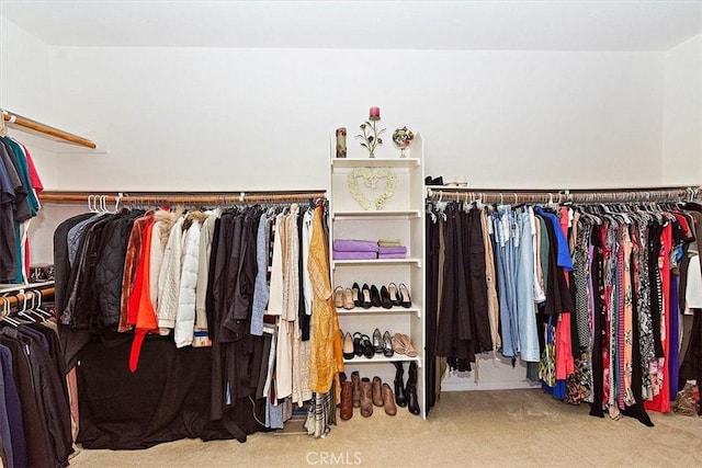 spacious closet featuring carpet flooring