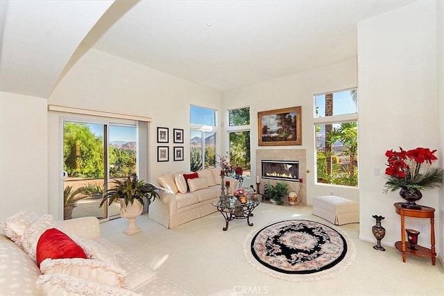 view of carpeted living room