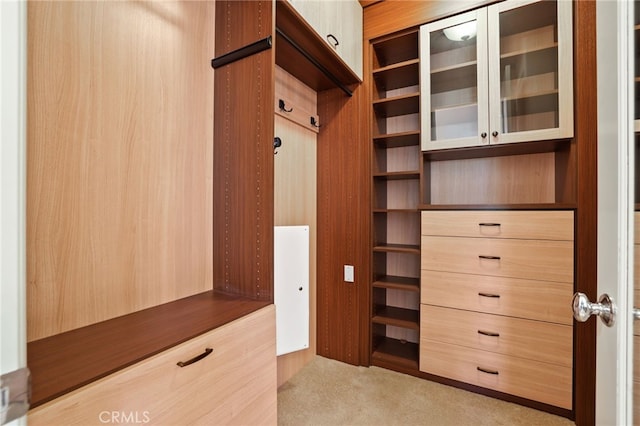 walk in closet with light colored carpet