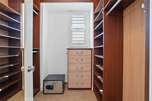 spacious closet featuring light carpet