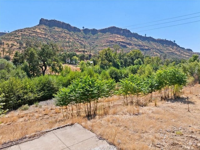 11706 Centerville Rd, Chico, CA 95928 - photo 4