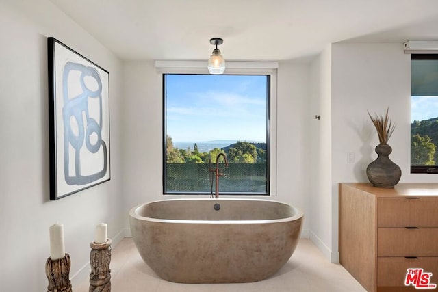 bathroom with a tub to relax in and plenty of natural light