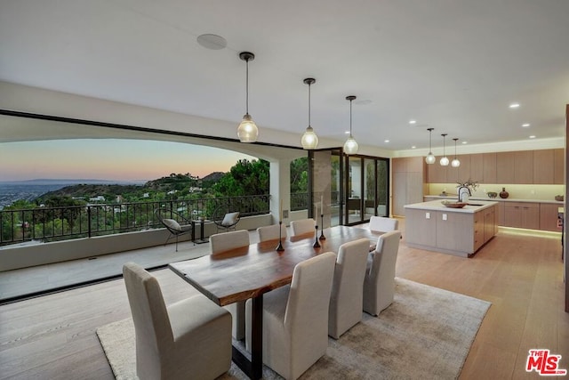 dining space with light hardwood / wood-style floors and sink