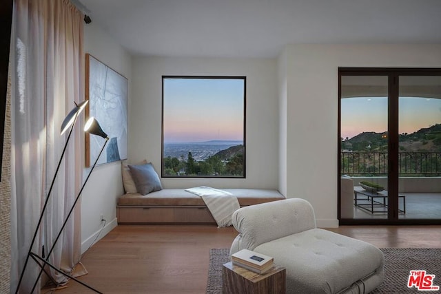 sitting room featuring a wealth of natural light, a mountain view, and light wood-type flooring