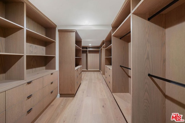 walk in closet featuring light hardwood / wood-style floors