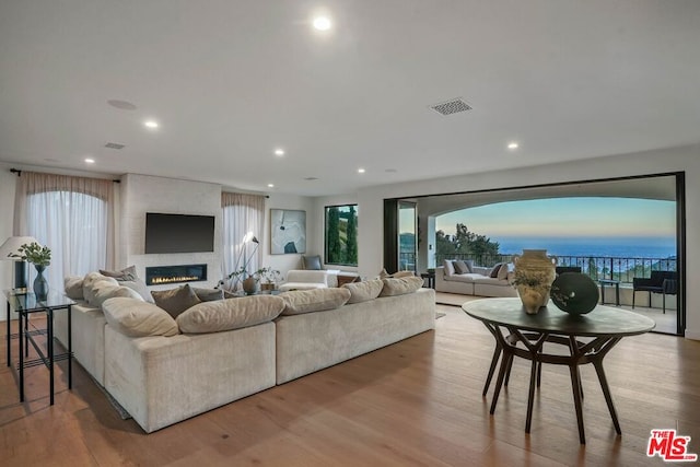 living room featuring a large fireplace and light hardwood / wood-style floors