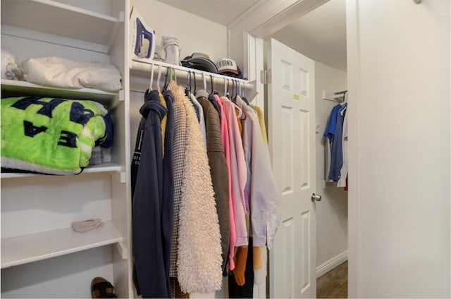 view of walk in closet