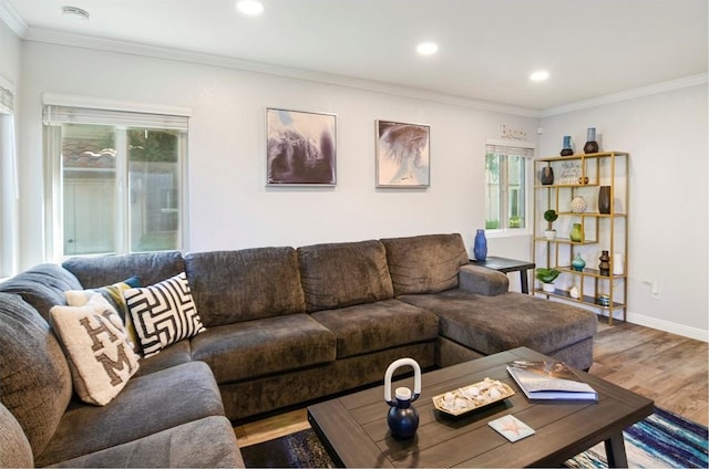 living room with hardwood / wood-style flooring, plenty of natural light, and ornamental molding